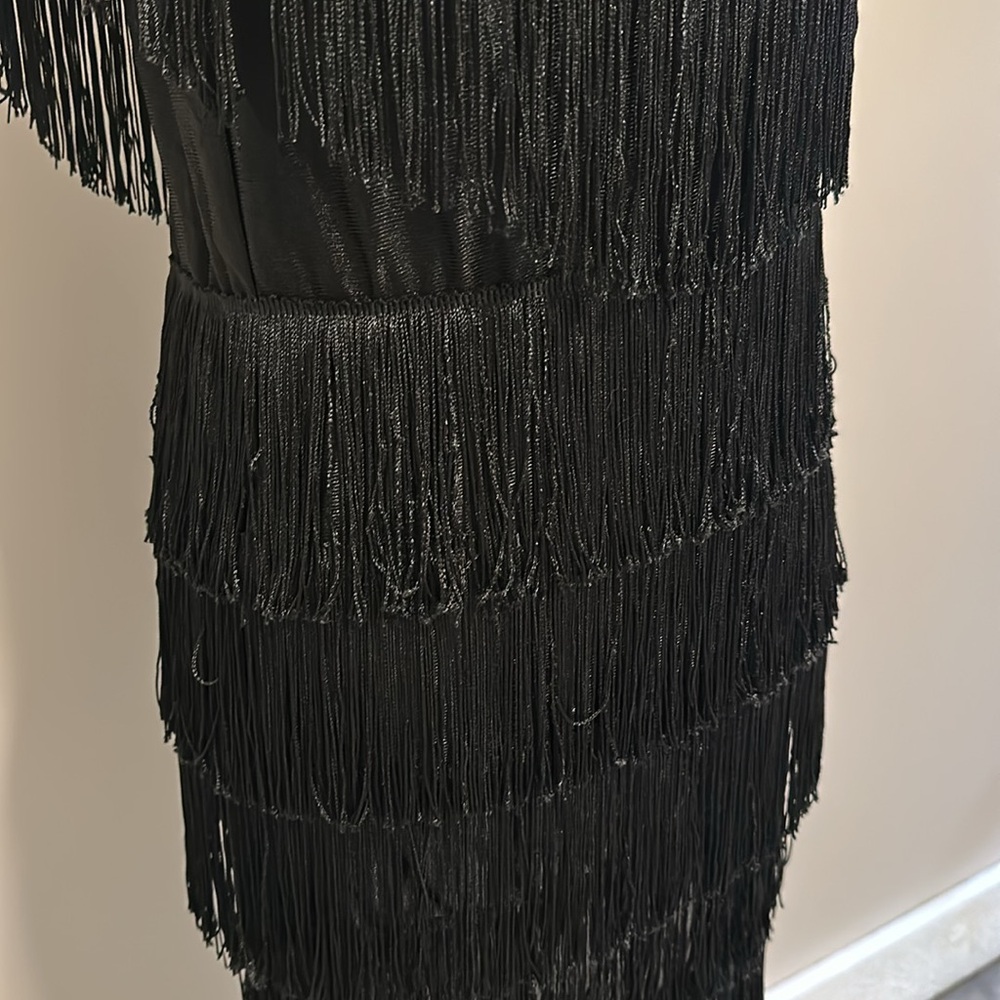 Flapper Dress - image 4